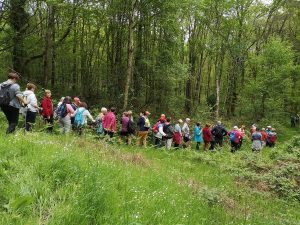 Lire la suite à propos de l’article Les randonneurs du domfrontais