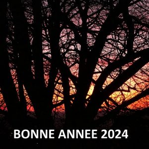 Lire la suite à propos de l’article 9 : Bonne année 2024
