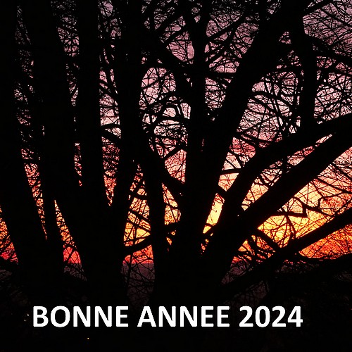 9 : Bonne année 2024