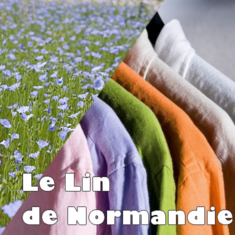 Le lin
