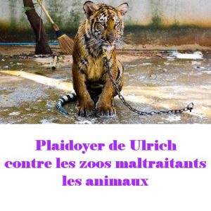 Lire la suite à propos de l’article Plaidoyer pour la condition animale dans les zoos