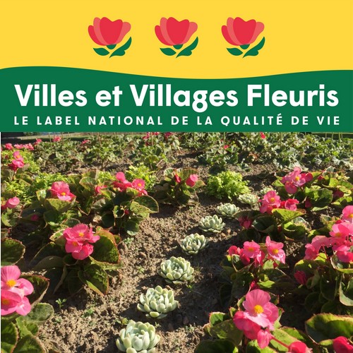 Service fleurissement