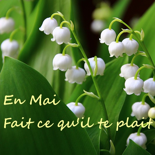 13 : En mai fait ce qu’il te plait