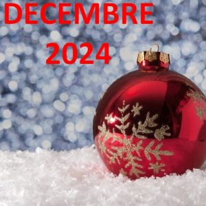 Lire la suite à propos de l’article Actualités-animations Decembre-2024