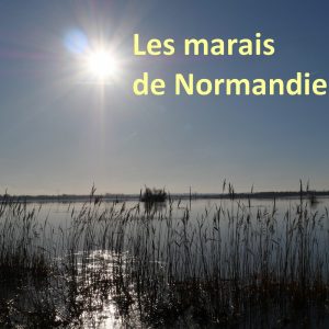 Lire la suite à propos de l’article Les marais ont fondé la Normandie