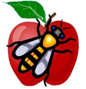 Lire la suite à propos de l’article Abeille des Bocages Normands