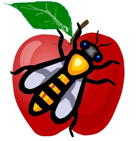 Lire la suite à propos de l’article Abeille des Bocages Normands