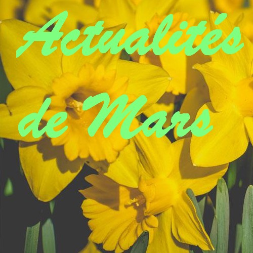 Actualités de Mars 2025